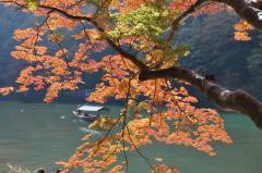 autumn9