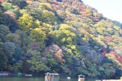 autumn3