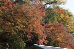 autumn15